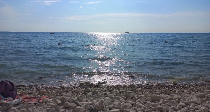 "Это что за мышеловка?": почему Сталин не купался в Черном море, хотя до него рукой было подать - узнали про его тайну