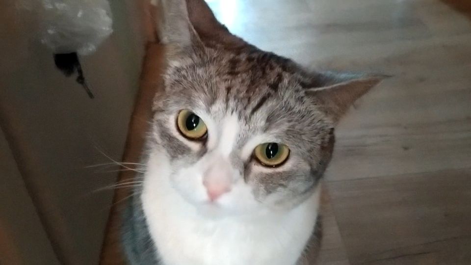  :     