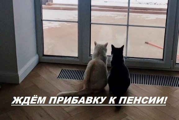 :    ?
