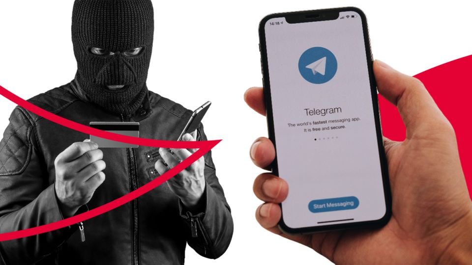      Telegram:   