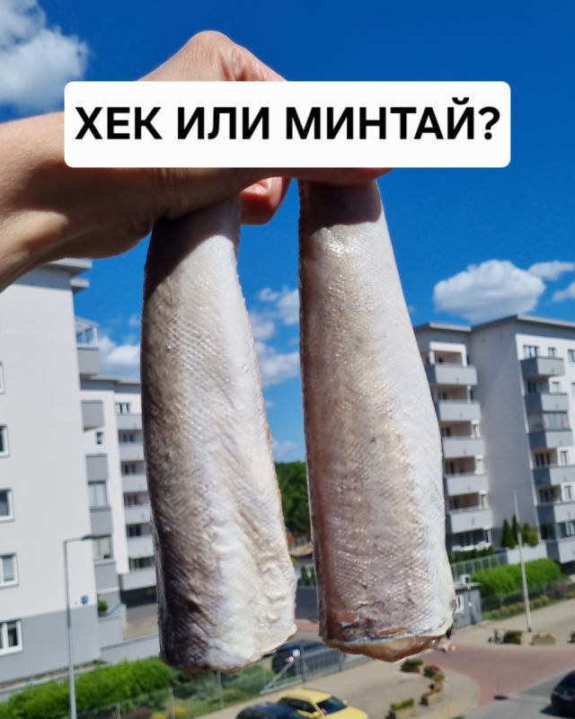   :       ?