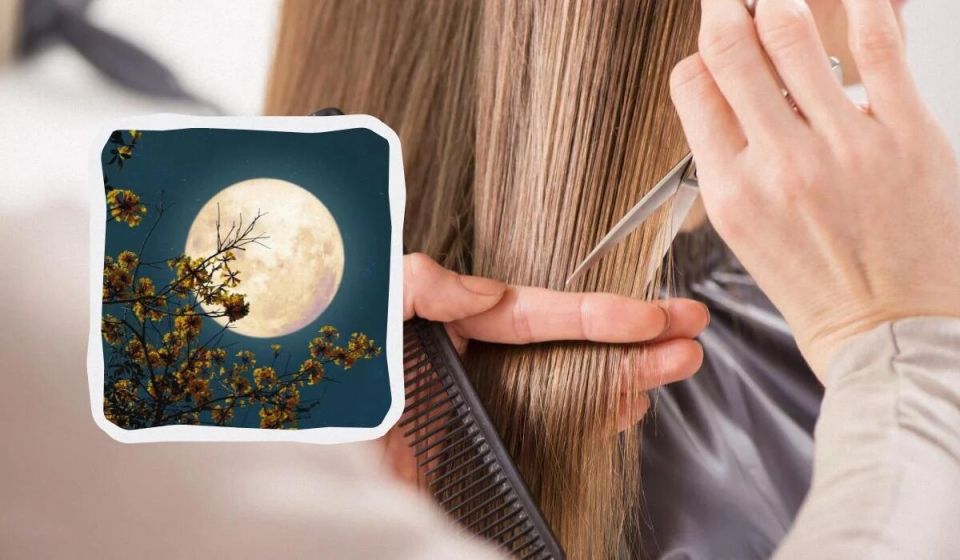         2025 :   