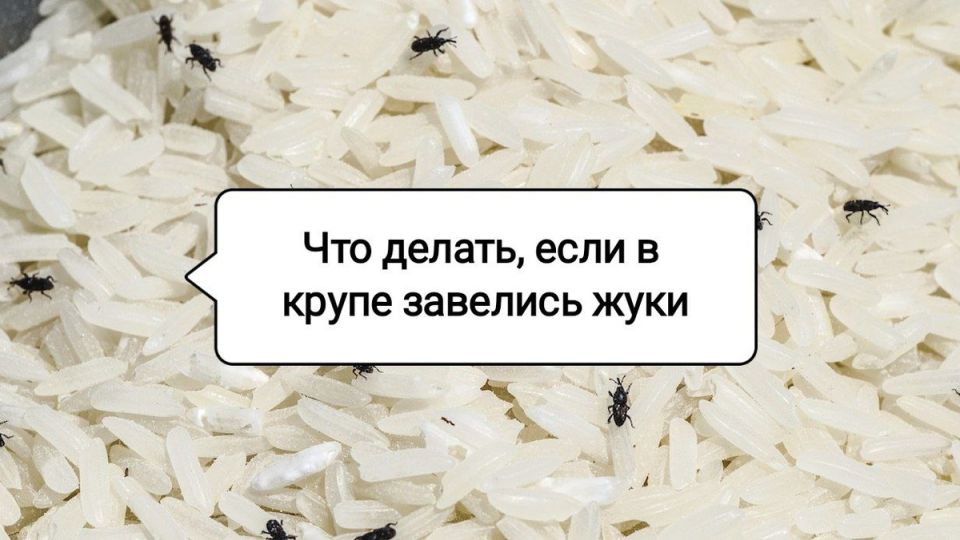     :      