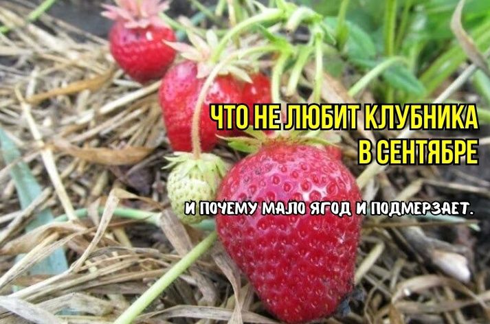 :  ,     