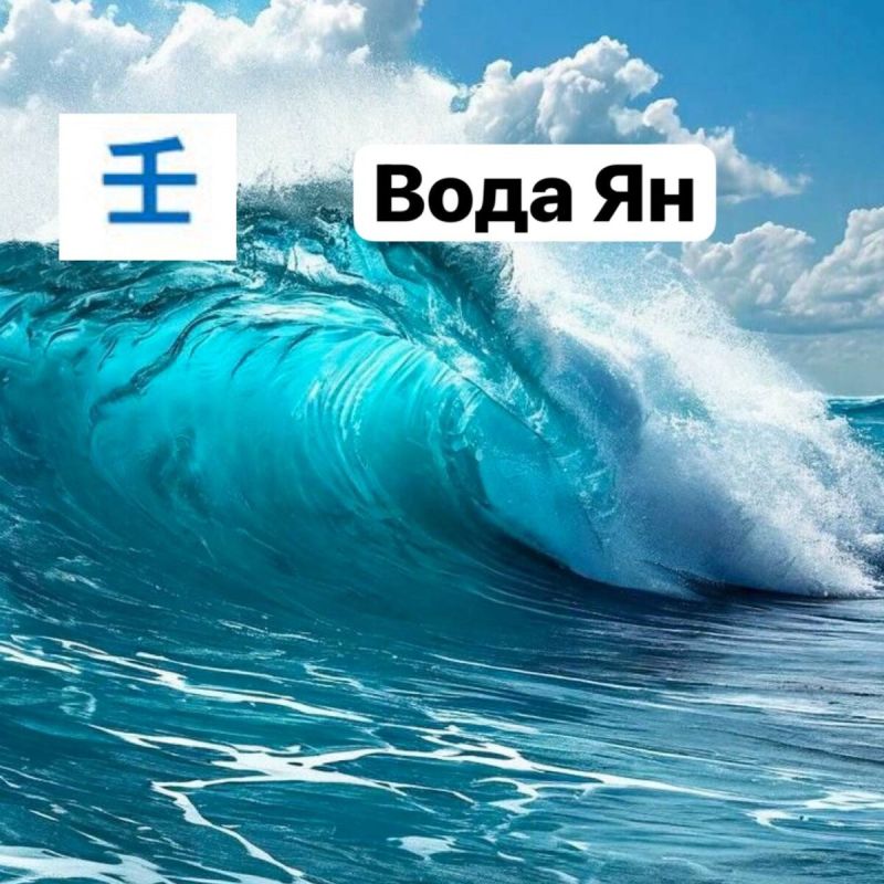   :      