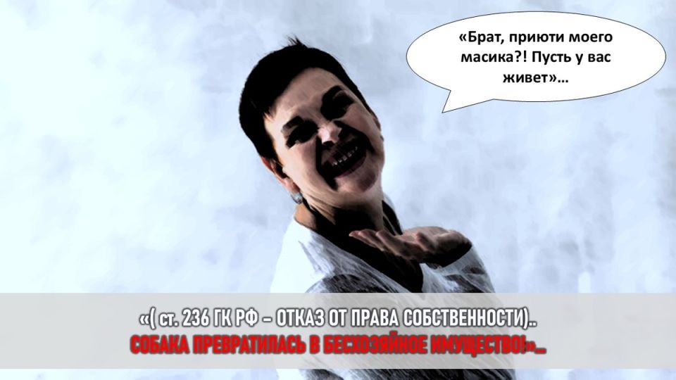  -    :   