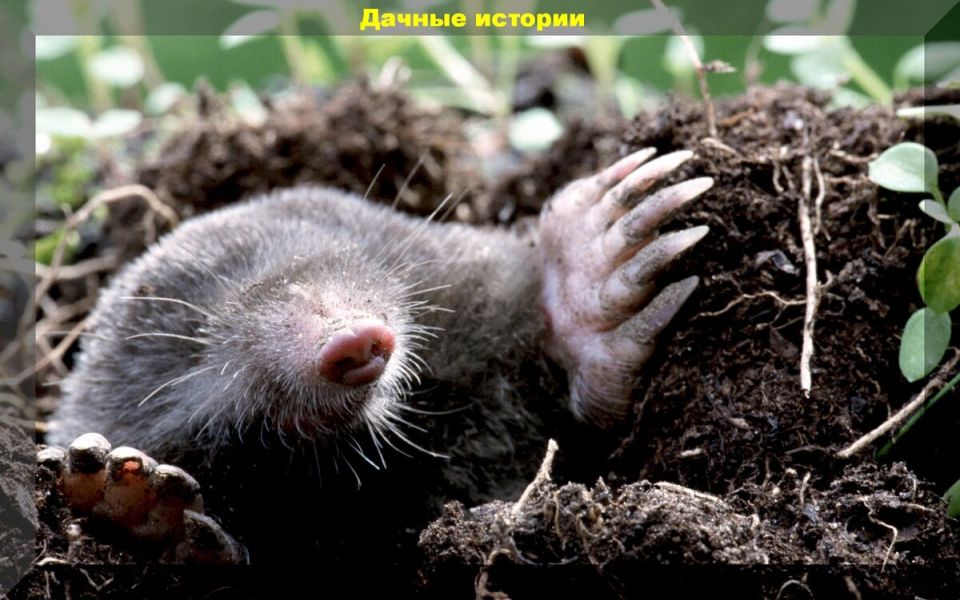      :   