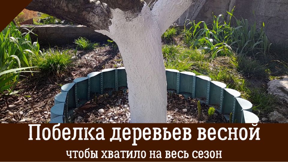      :      
