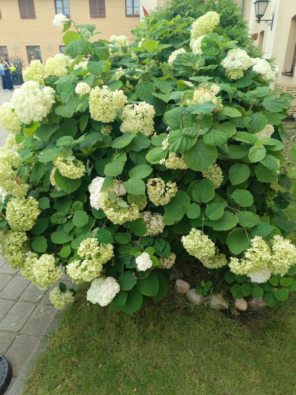 Как наслаждаться жизнью на пенсии: пять простых секретов счастья