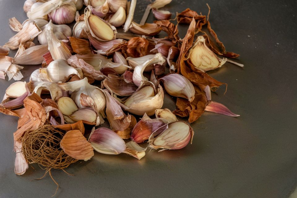 Когда лучше собирать чеснок: важные секреты для идеального урожая