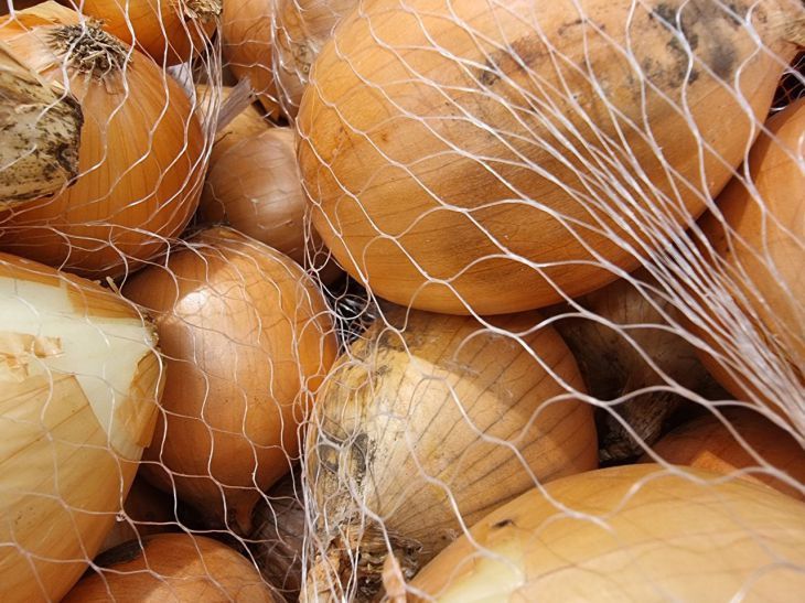 Эти 3 овоща нельзя хранить в холодильнике: 90% хозяек поступают неправильно