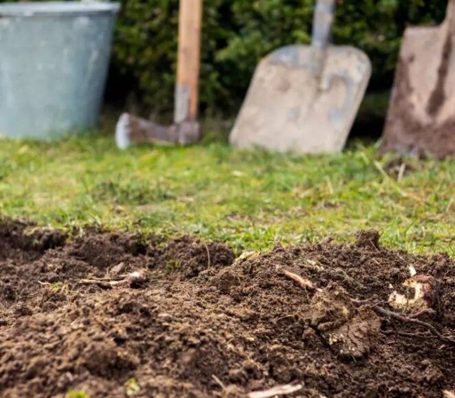 Хелатные удобрения: выбор с умом