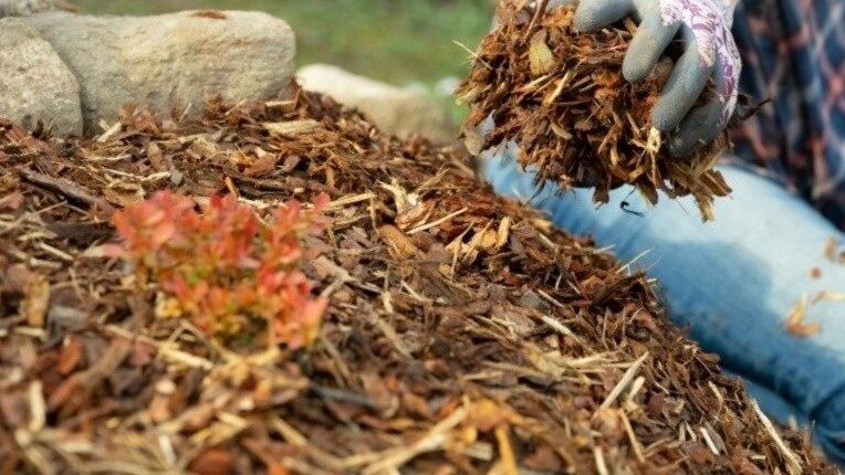 Эффективная мульча: Как три материала изменили подход к сохранению влаги в огороде