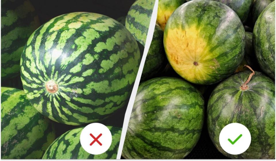 Искусство выбора сладкого арбуза