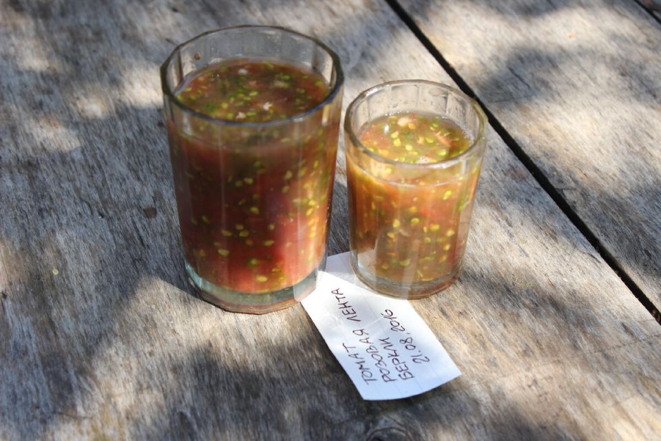 Как правильно собирать семена овощей: полезные советы и хитрости