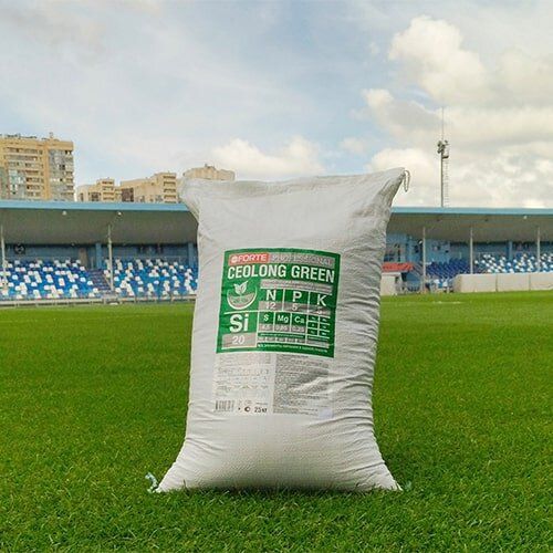 Как вынести на пик совершенства ваш газон: секреты от экспертов