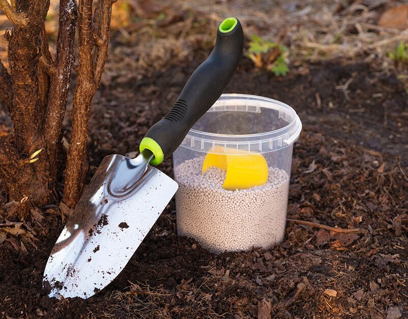 Удобрения под зиму: как и когда вносить