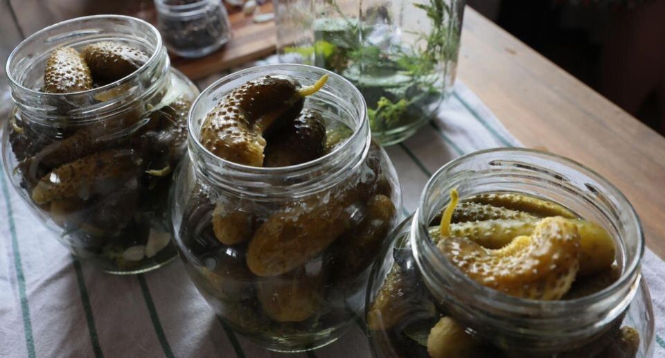 Как сохранить заготовки безопасно: советы экспертов по предотвращению ботулизма