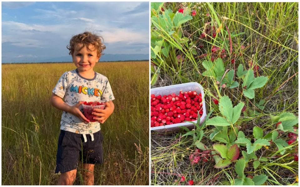 Жизнь на Аляске: скрытые преимущества сурового рая