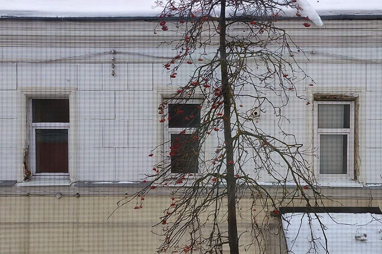 Как защитить свой дом от самовольного размещения труб соседей: советы и практика