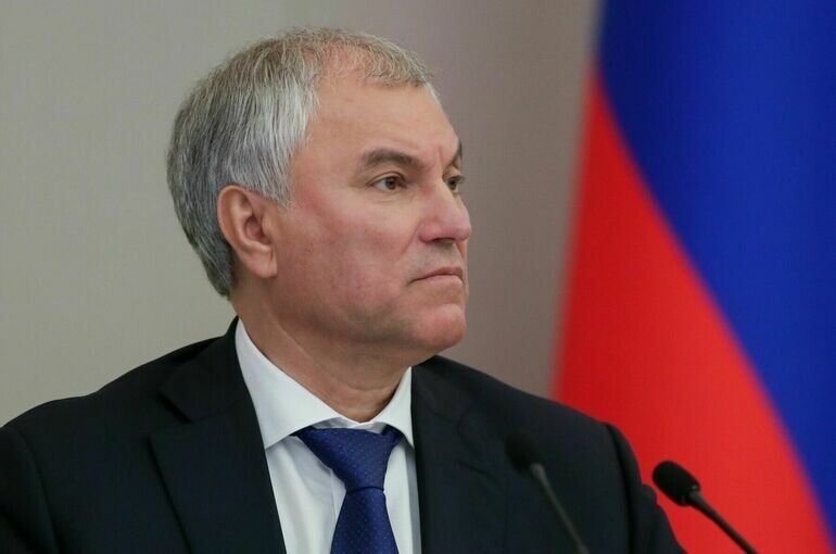 Вячеслав Володин инициирует обращения к кабмину из-за угрозы изъятия российских активов