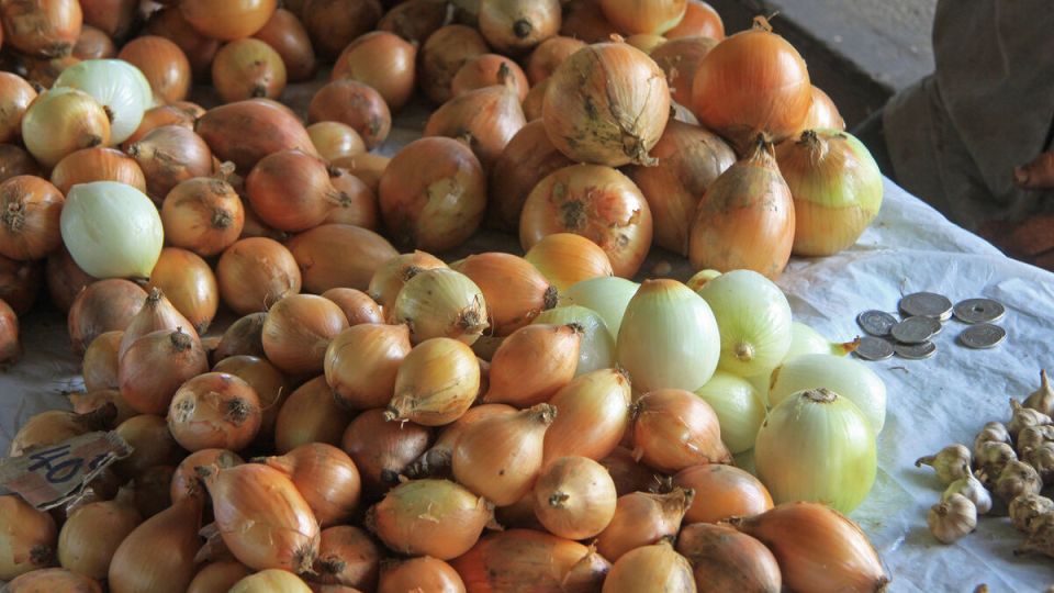 Луковая шелуха: сокровище для садоводов