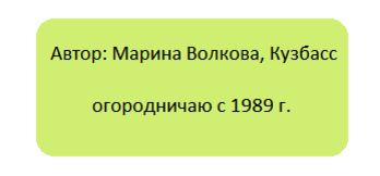 Мох на вашем участке: угроза или натуральный помощник?