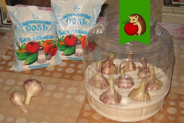 Три проверенных способа хранения чеснока: секреты от экспертов