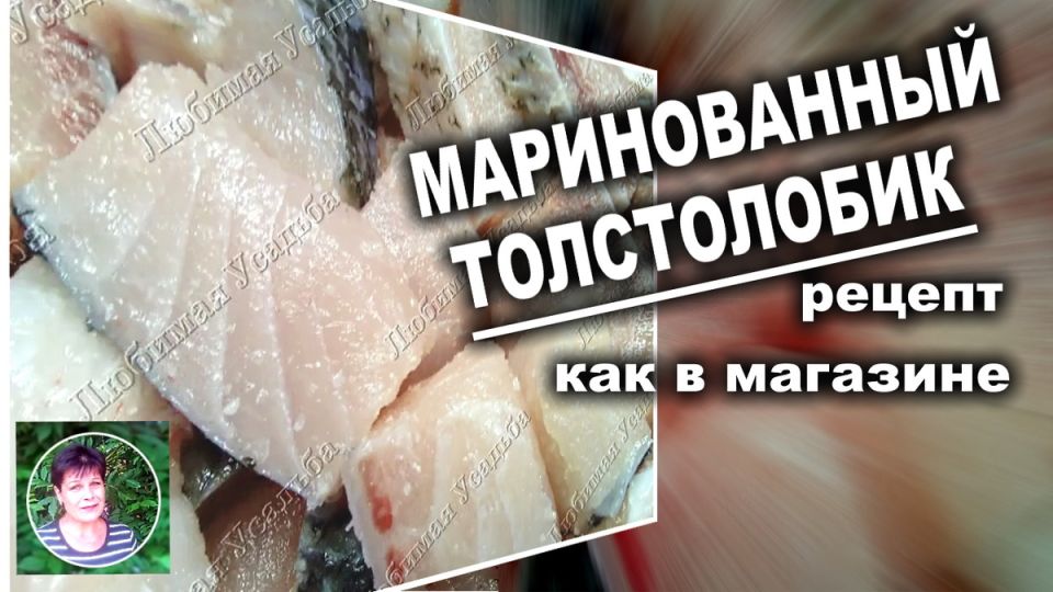 Как замариновать толстолобика в банке: два простых рецепта для восхитительного блюда