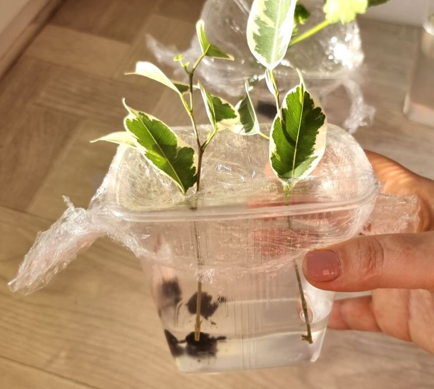 ������� ��������� ���������� �������� � ����