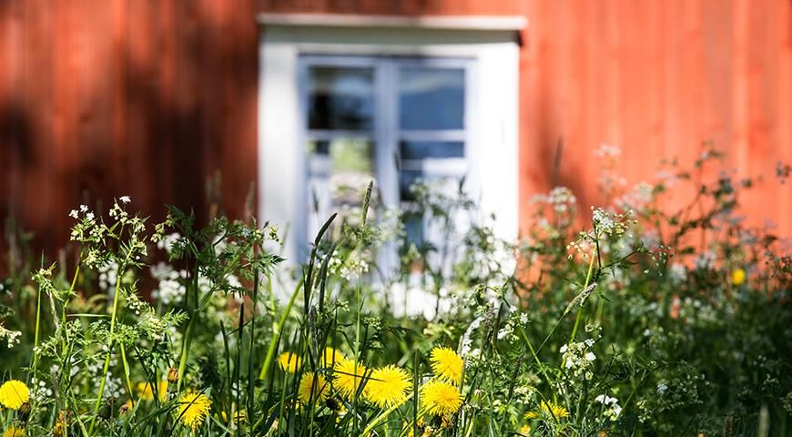 ��������� � �������: ��� �������� ������������� � ����������� ���������� ������� �����