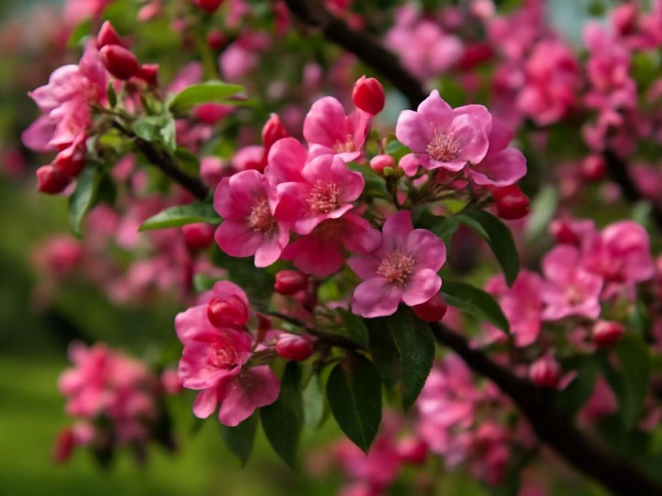 ��������� ������� ���������: ������� �������� � ������