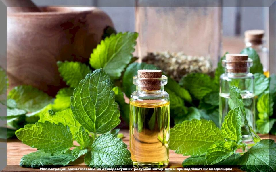 ���� ��� ��������� �������� �������: �������� �������� � �������