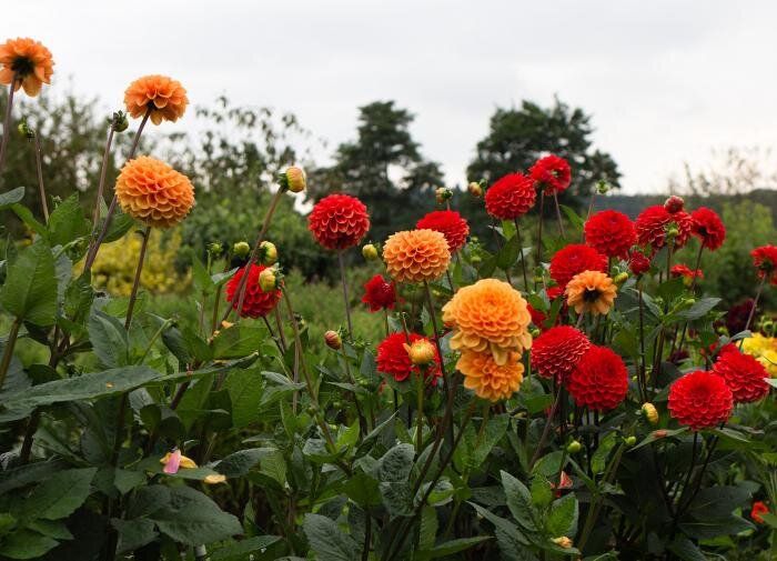 ���� �� ����������: ������� ������� � �������� ����� ������