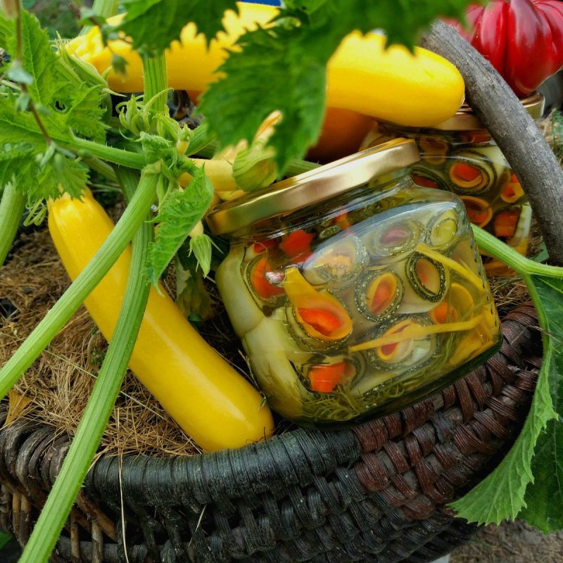 ������������ ���������� ��������: ������� � ���� �� ����� �����