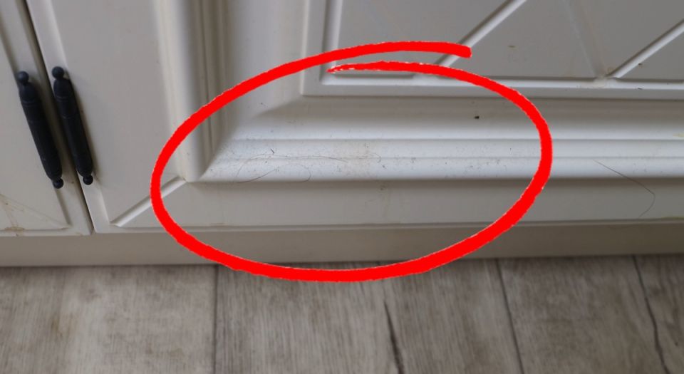 Как быстро вернуть кухне сверкающий вид после летнего сезона