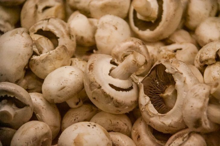 � ��� ������������ �����, ����� ��� ��������� ����������� ������� � ������������ ������: ������ �������� ������ ���