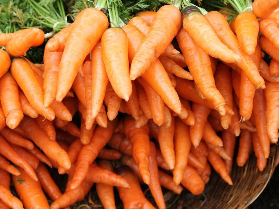 ������� �������� �������: ��� ��������� ������ � ������� ������