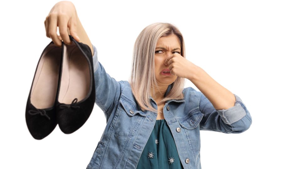 ���� ������� ������: �� ����������� ������ � ����� ������� ��� ��������� ��������