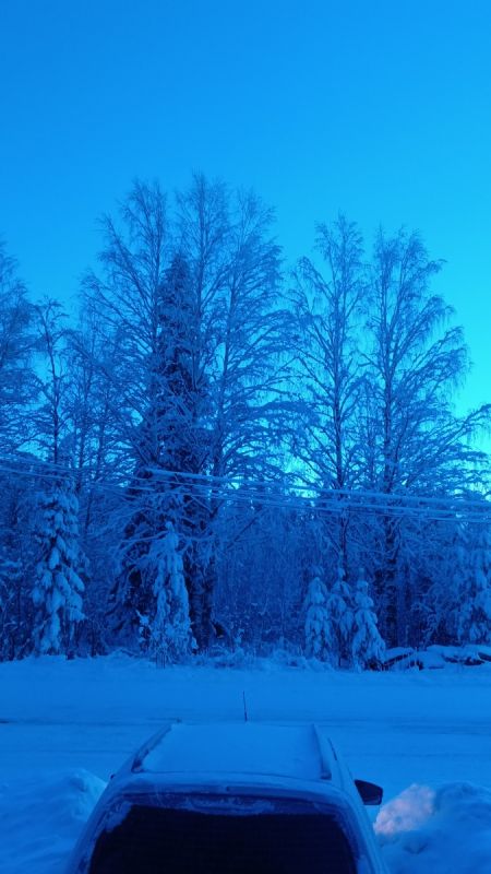 �������������� ������� � ��������: ��� ����� ����������� � ����������� � ������������ ���� �����