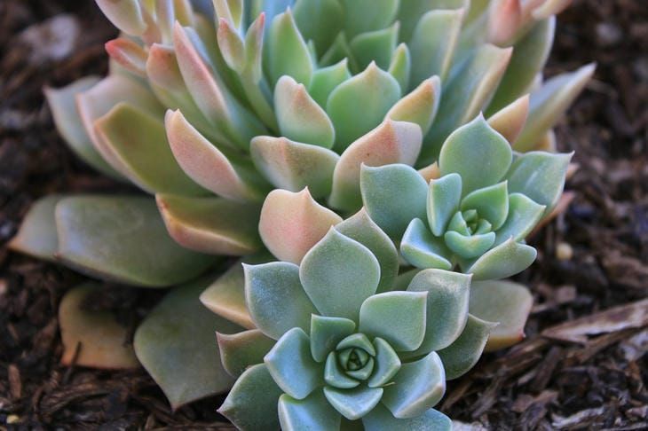 ����� ������ ��������� �� ����������, ����� �� ���� ����������: �������� �� �������