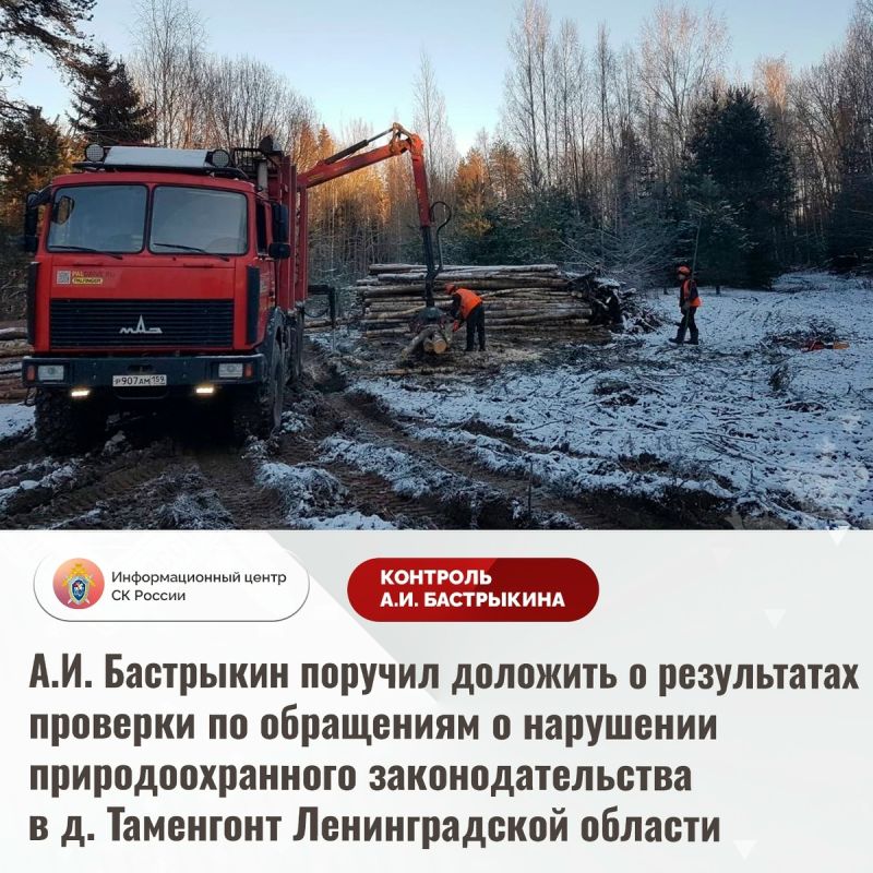 Строительство комплекса по переработке отходов в Ленинградской области вызвало общественное недовольство