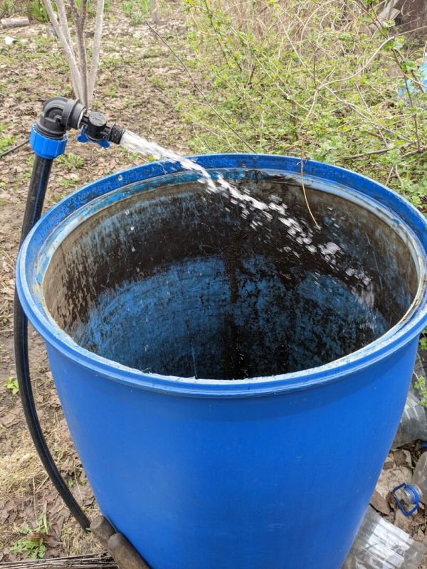 �������� ������ ��������: ��� ������ ������� �� ��������?