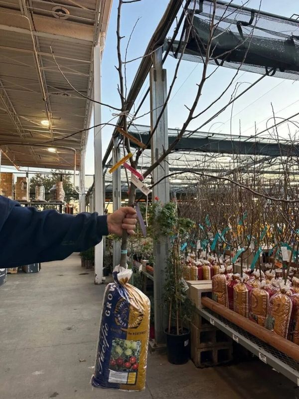 ������� � ����� ����: ��� ������� ���������� ������� ��� �����