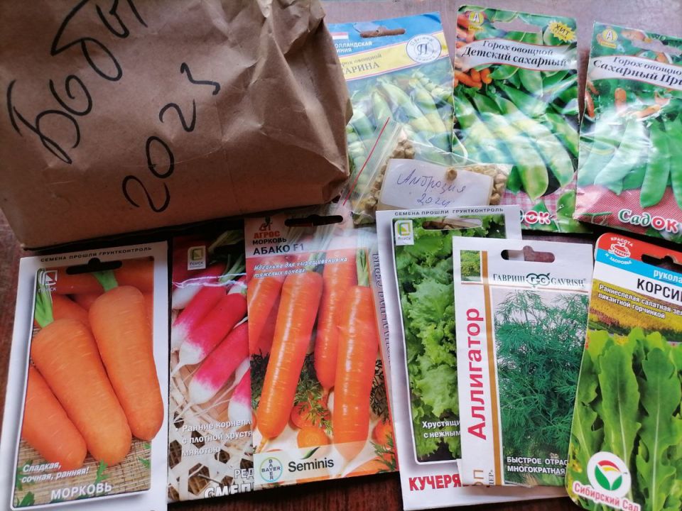 �� ������ ������ ������: ��� ������� � ���