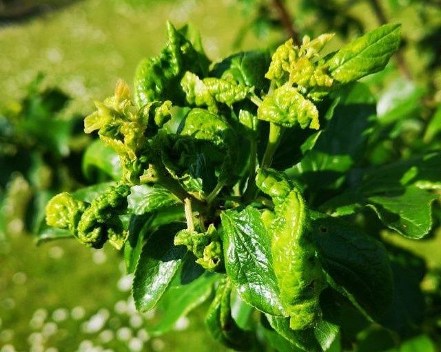 ��� �������� ���� ������ �� ����������� ������: ������ �� ������ � ����