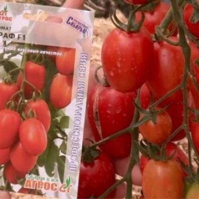 ����� ����: ��������� ����� ��� ���������������� ������ � ����� �������