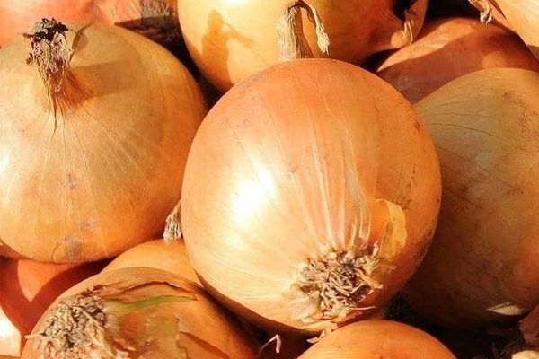 ��� �����: ������� ��������� ����������� � ��� ������������