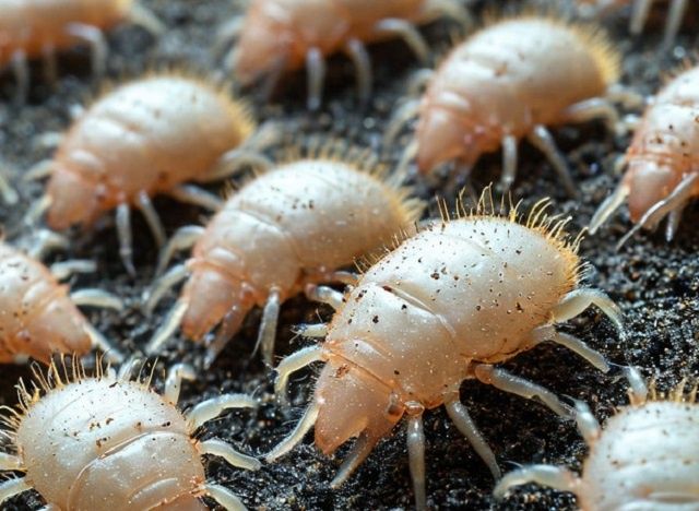 ��� �������� ������� ������: ������� � ����������� ������