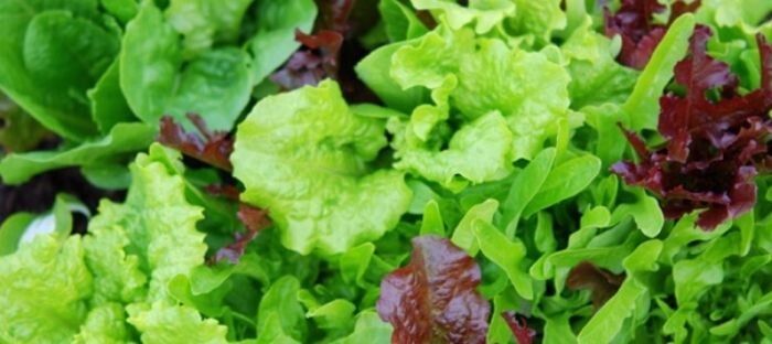 ������ ��� � ���������� ������� �� ��������